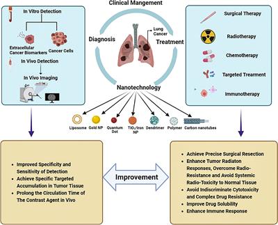 Advanced diagnostic and therapeutic strategies in nanotechnology for lung cancer